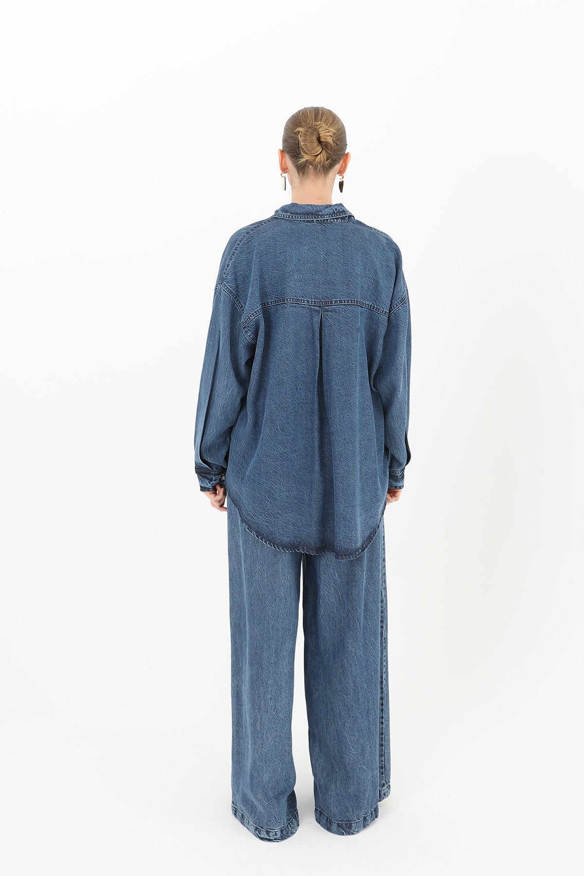Ensemble DENIM